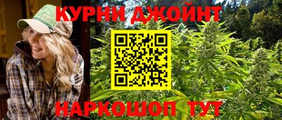 spice Кимры