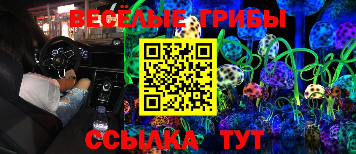 цены наркотик  Псилоцибиновые грибы прущие грибы  Псилоцибиновые грибы MAGIC MUSHROOMS  Вход с VPN  Владивосток 